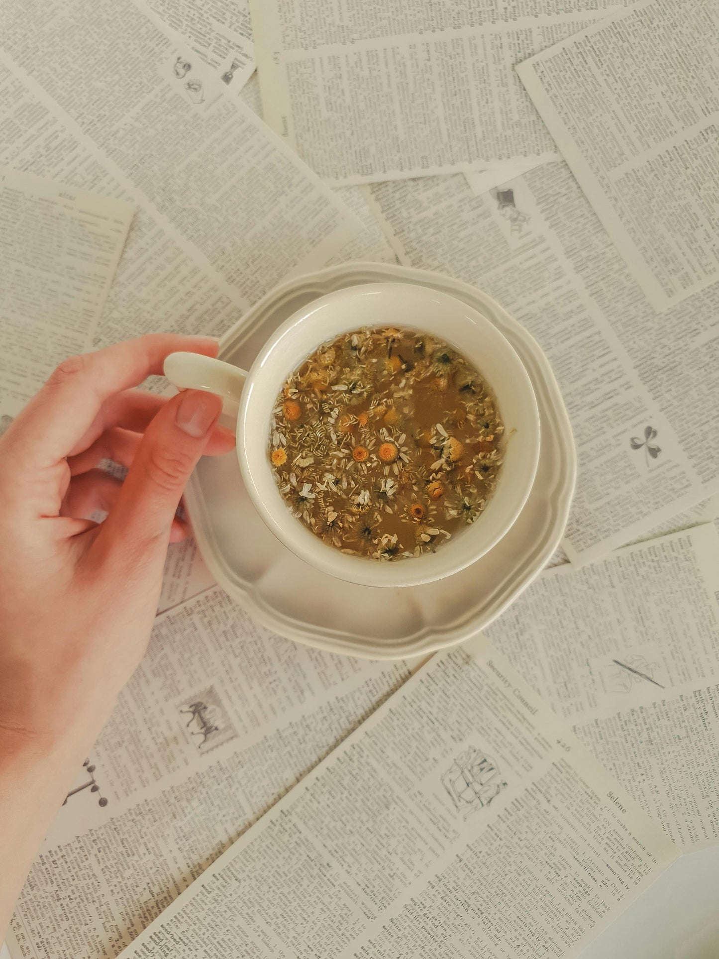 CHAMOMILE TEA